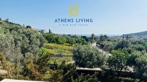 Συγκρότημα διαμερισμάτων, 425τ. μ.