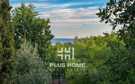 Κάτω Σούνιο, Σούνιο (Υπόλοιπο Αττικής)