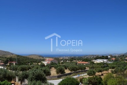 Μονοκατοικία, 260τ. μ.
