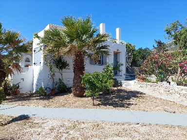 Τζάνες, Πάρος (Κυκλάδες), Τζάνες 84400