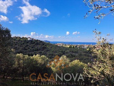 Νέος Μαρμαράς, Σιθωνία (Χαλκιδική), Ν. ΜΑΡΜΑΡΑΣ ΧΑΛΚΙΔΙΚΗΣ ΝΕΟΣ, Νέος Μαρμαράς 630 81, Ελλάδα