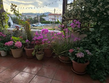 Νέα Κηφισιά, Κηφισιά (Αθήνα - Βόρεια Προάστια)