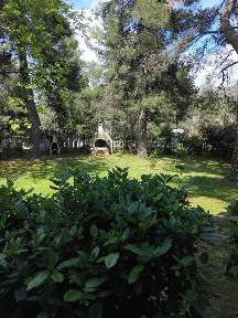Κέντρο, Διόνυσος (Αθήνα - Βόρεια Προάστια)
