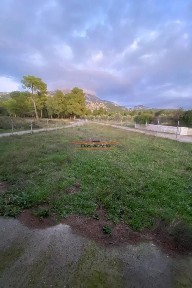Άγιος Αθανάσιος, Δίρφυς (Εύβοια)