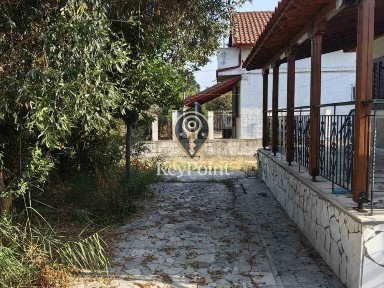Νέα Καλλικράτεια, Καλλικράτεια (Χαλκιδική), Β. Πιτσούλη, 42, 63080, Ελλάδα