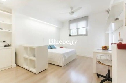 Studio / Γκαρσονιέρα, 28τ. μ.