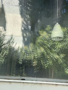 Ζηρίνειο, Κηφισιά (Αθήνα - Βόρεια Προάστια)