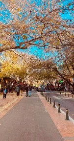 Κέντρο, Κηφισιά (Αθήνα - Βόρεια Προάστια)