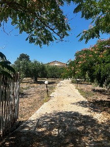 Γερακινή, Πολύγυρος (Χαλκιδική), Επ. Οδός 1-Πολυγύρου-Κασσάνδρειας, 631 00 Πολύγυρος