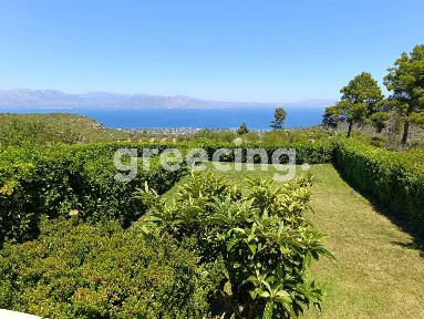 Μονοκατοικία, 250τ. μ.