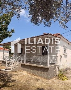 Χουμνικο, Αχινός (Ν. Σέρρες)
