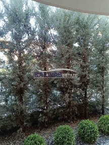 Studio / Γκαρσονιέρα, 50τ. μ.
