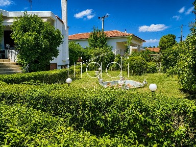 Άγιος Λουκάς, Ταμύνες (Εύβοια)