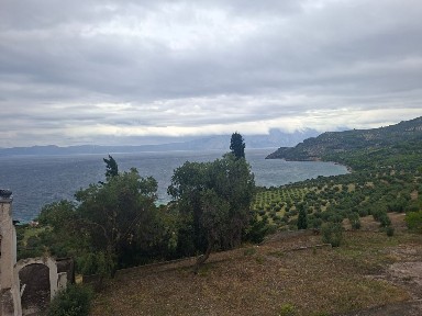 Λεκούνα, Μαλεσίνα (Φθιώτιδα)