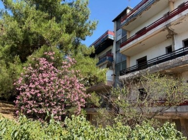 Διαμέρισμα, 54τ. μ.
