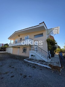 Λάκκωμα, Καλλικράτεια (Χαλκιδική)