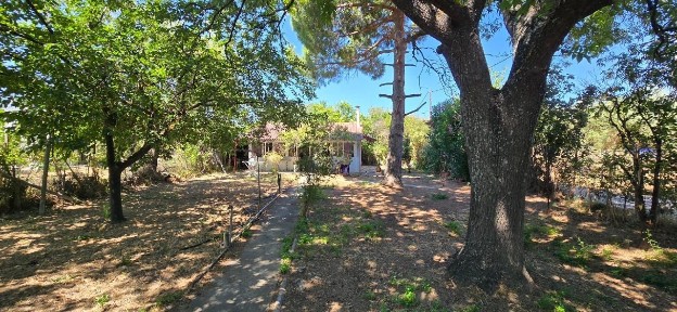 Κέντρο, Αμάρυνθος (Εύβοια)