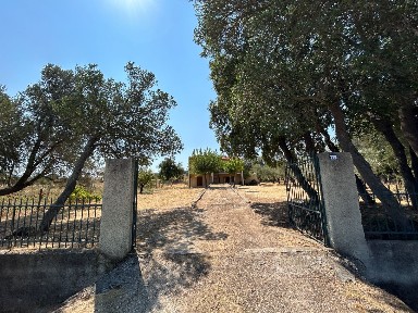 Κοίλι, Κονίστρες (Εύβοια), 340 09 Κονίστρες