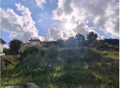 Μαρμάρι (Εύβοια)
