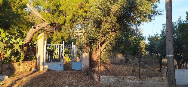 Λαγονήσι, Καλύβια Θορικού (Υπόλοιπο Αττικής)