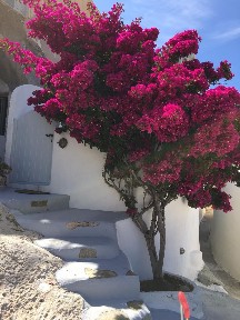 Εμπορείο, Σαντορίνη (Κυκλάδες), Επαρχιακή Οδός Φηρών-Όρμου Περίσσης, 847 03 Θήρα