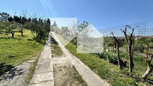 Διαμέρισμα, 260τ. μ.