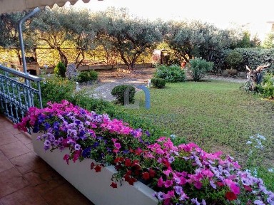 Νέα Καλλικράτεια, Καλλικράτεια (Χαλκιδική)