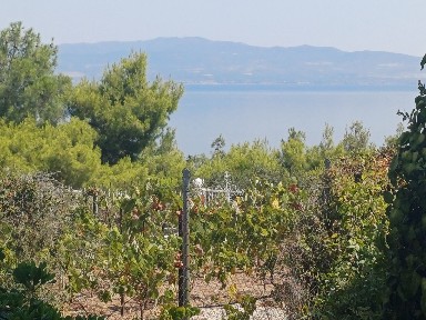 Συγκρότημα διαμερισμάτων, 480τ. μ.