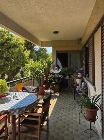 Πολύδροσο, Χαλάνδρι (Αθήνα - Βόρεια Προάστια)