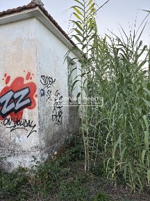 Γαλάρο, Αρτεμίσιο (Ζάκυνθος)