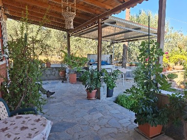 Studio / Γκαρσονιέρα, 45τ. μ.
