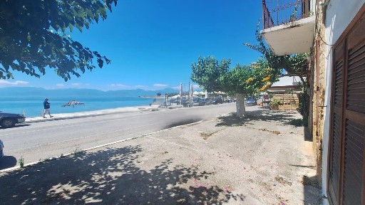 Ερατεινή, Τολοφώνα (Φωκίδα)