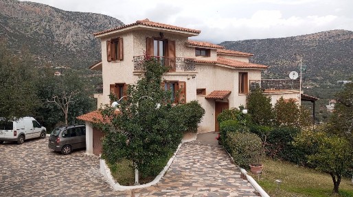 Κέντρο, Αντικύρα (Βοιωτία), Ομήρου, Αντίκυρα 32003