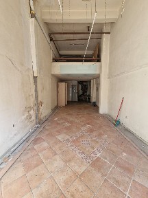Τζιτζιφιές, Καλλιθέα (Αθήνα - Νότια Προάστια), Ζερβού Ν. 59, Καλλιθέα 17675