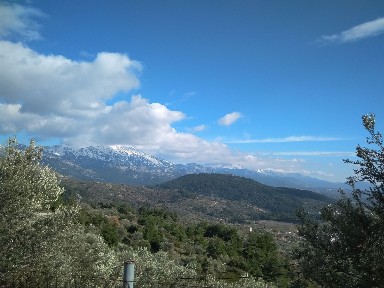 Πλατανιά, Μεσσαπία (Εύβοια), Επαρχιακή Οδός Ψαχνών-Μίστρου, 344 00 Μεσσάπια