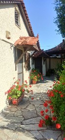 Πολιτικά, Μεσσαπία (Εύβοια), Επαρχιακή Οδός Ψαχνών-Νεροτριβιάς, 344 00 Πολιτικά