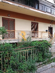 Κοντόπευκο, Αγία Παρασκευή (Αθήνα - Βόρεια Προάστια)