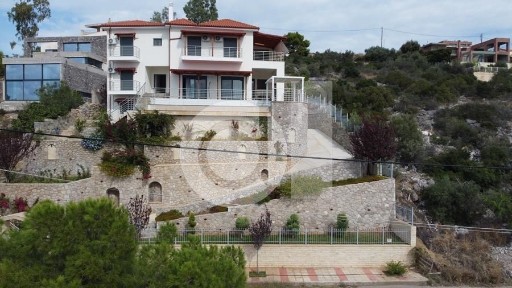 Μαλεσίνα (Φθιώτιδα), Μαλεσίνα, ΟΣΜΑΕΣ