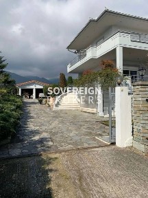 Λεπτοκαρυά, Ανατολικος Όλυμπος (Ν. Πιερίας), Αγίου Διονυσίου, 600 63 Ανατολικός Όλυμπος