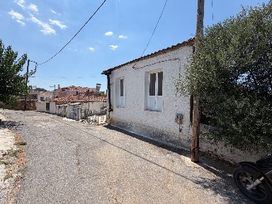 Αφισιό, Σπάρτη (Λακωνία), Παλαιολόγου, Αφισιό 23150
