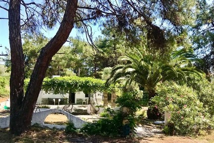 Ποτός, Θάσος (Ν. Καβάλας)