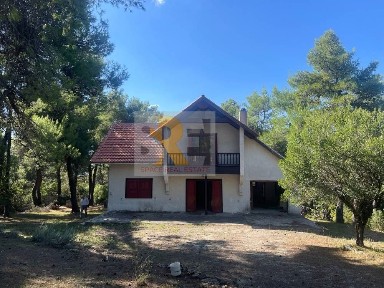 Αγία Τριάδα - Ιπποκράτειος Πολιτεία, Αφίδνες (Υπόλοιπο Αττικής)