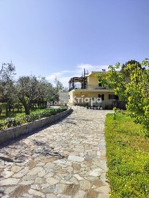 Καλακαίικα, Πύργος (Ηλεία), Σκαφιδιάς-Μυρτέας, 271 50, Πύργος