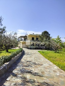 Καλακαίικα, Πύργος (Ηλεία), Σκαφιδιάς-Μυρτέας, 271 50, Πύργος