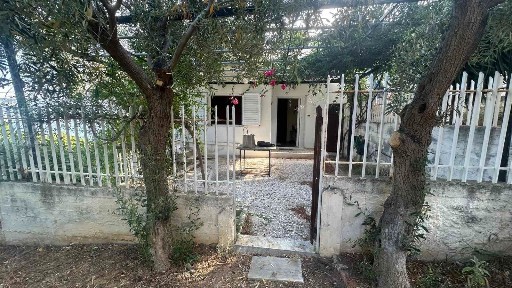 Άγιος Δημήτριος, Σαλαμίνα (Νησιά Αργοσαρωνικού), Ξανθίππης 24 18950