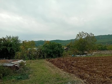 Αρωνάς, Ελαφίνα (Ν. Πιερίας)