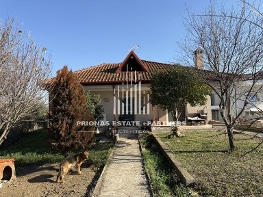 Νέο Κεραμίδι, Κατερίνη (Ν. Πιερίας)