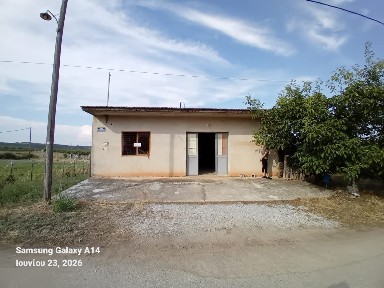 Άγιος Σπυρίδωνας, Δίον (Ν. Πιερίας)