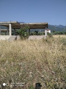 Λεπτοκαρυά, Ανατολικος Όλυμπος (Ν. Πιερίας)