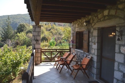 Γραβιά (Φωκίδα), Παρνασσός